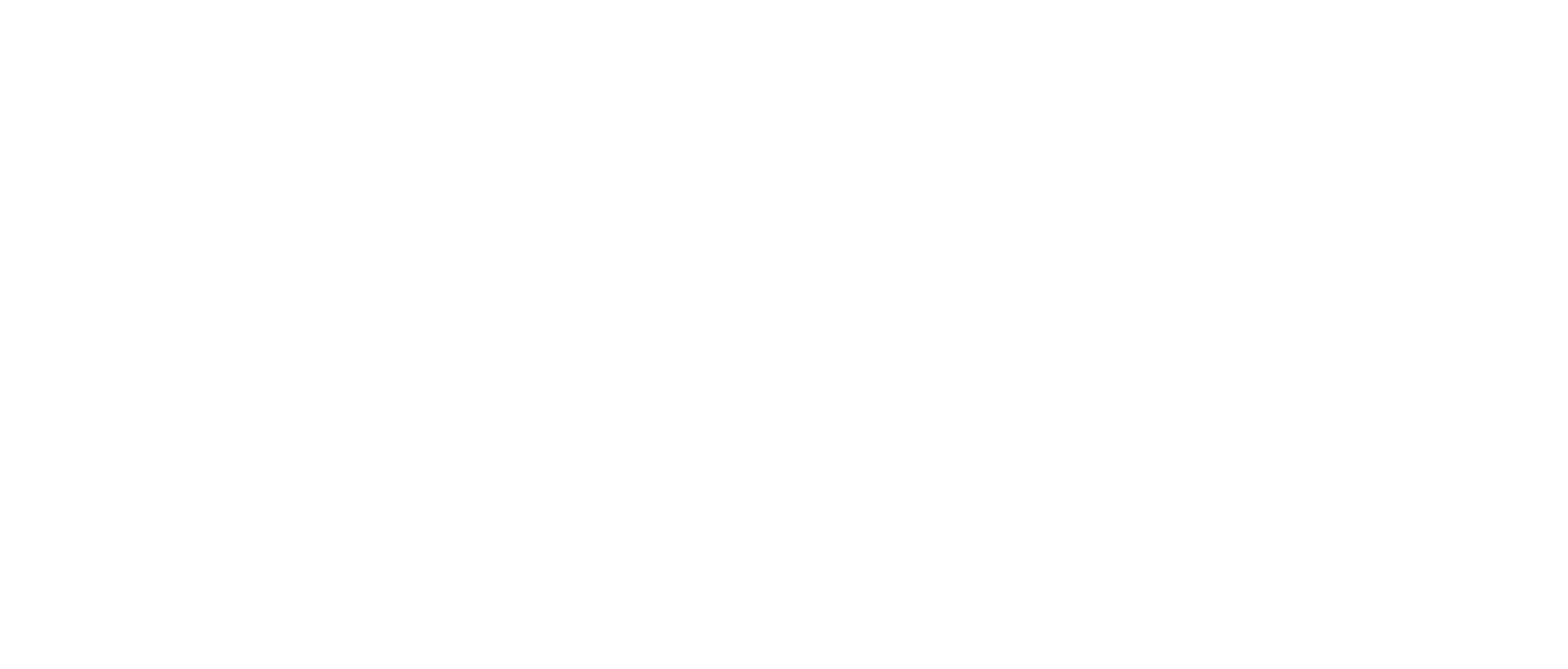 NEVER SAY DIE